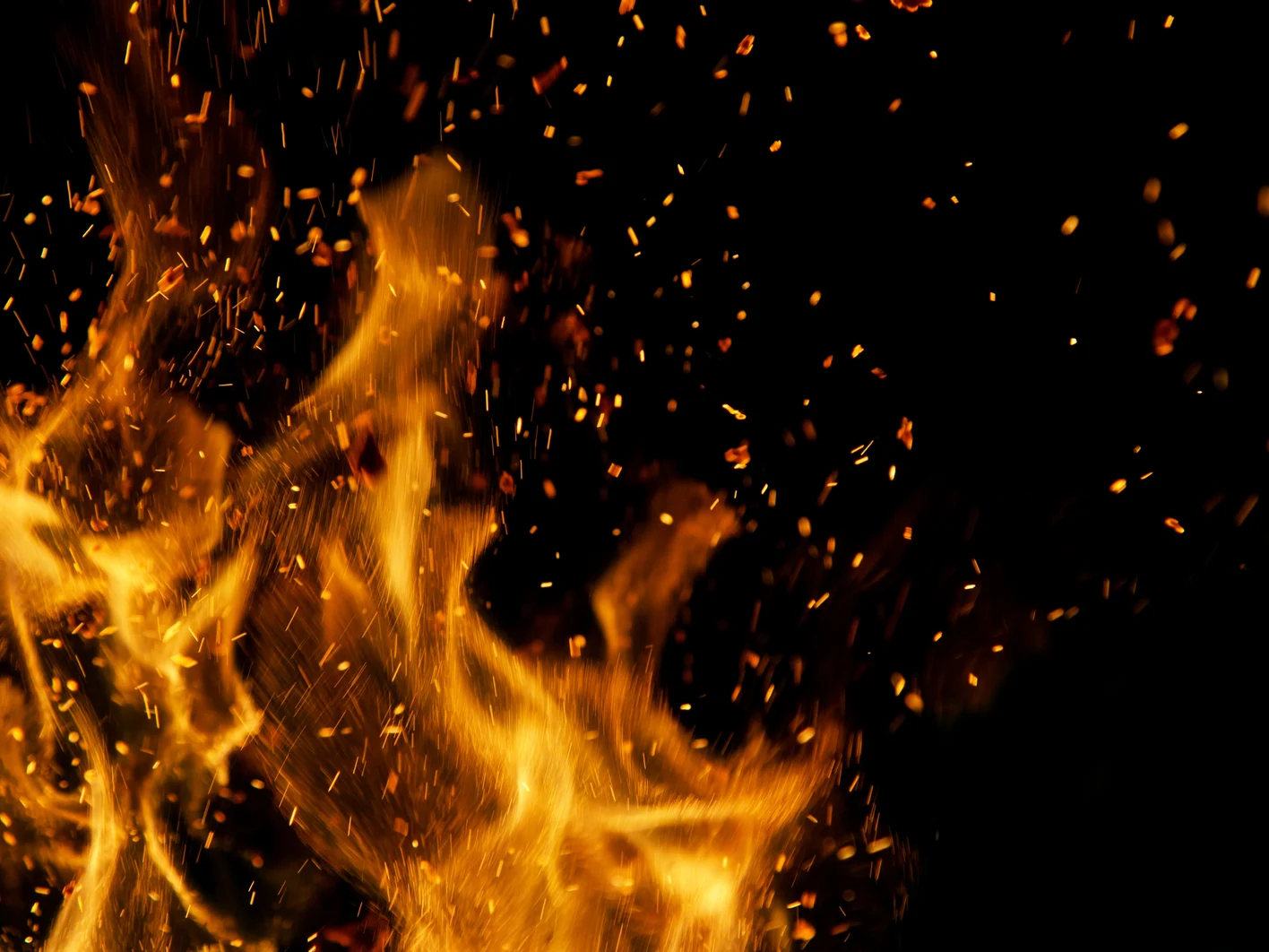 COPY_shutterstock_429724729