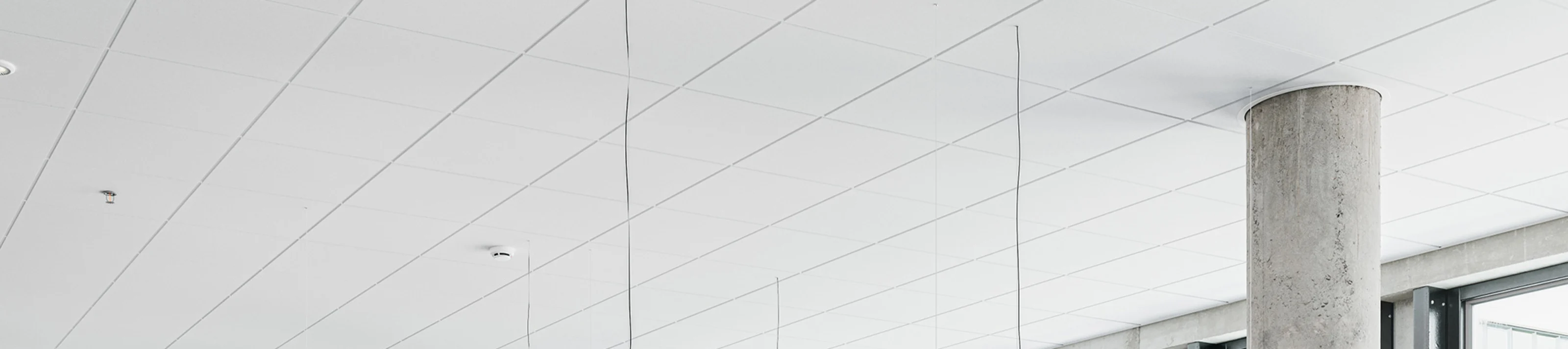 New-TOPIQ-Alpha_Header.jpg