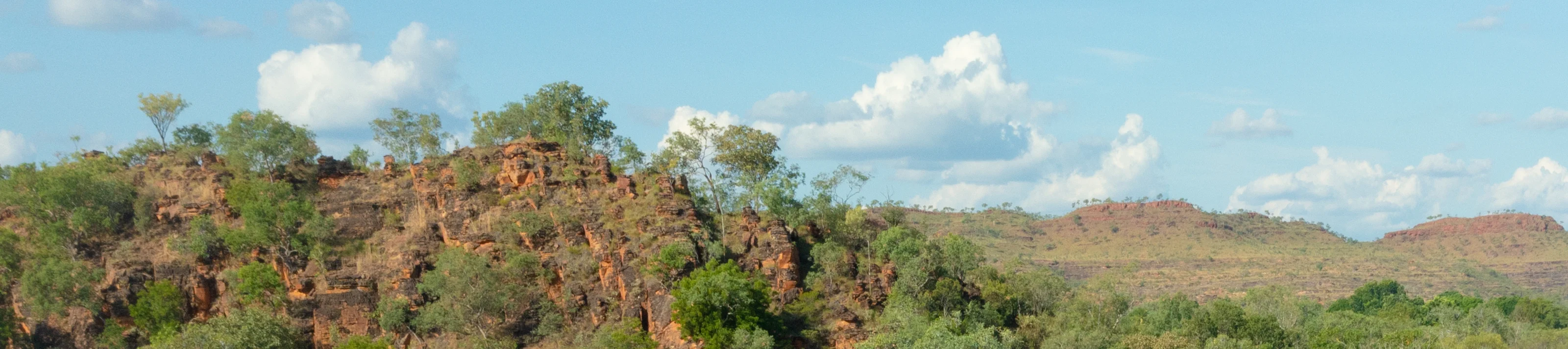 AU-GY-Expertise-Bushfire-Protection