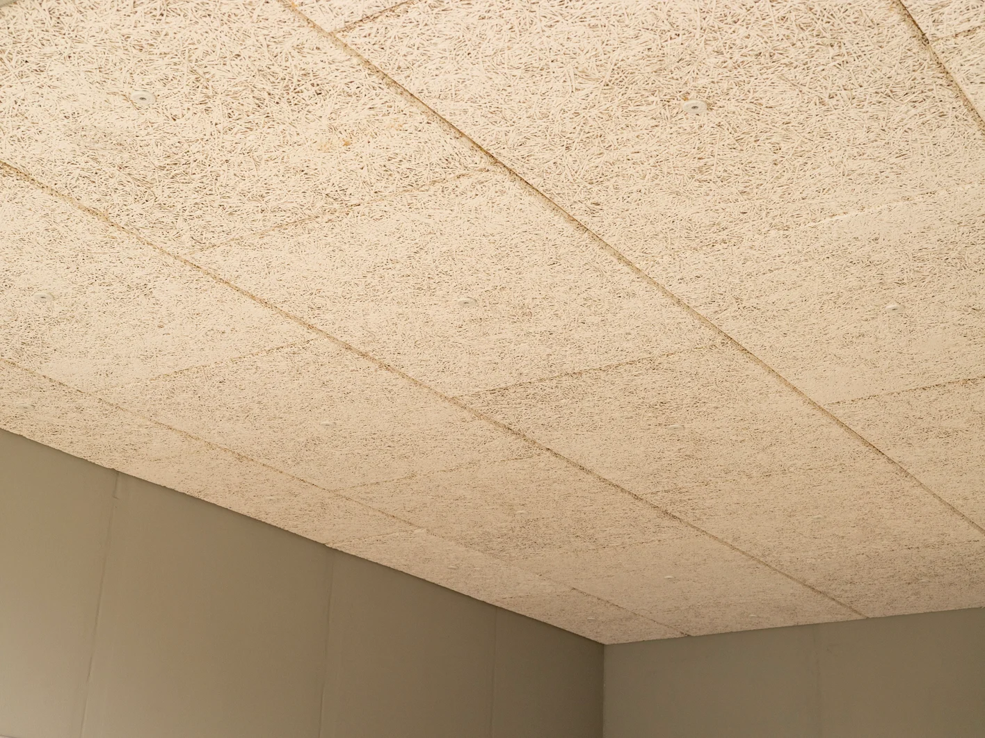 Tektalan-SmartTec-One, fertige Decke in natur
