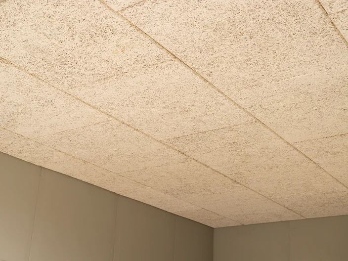 Tektalan-SmartTec-One, fertige Decke in natur
