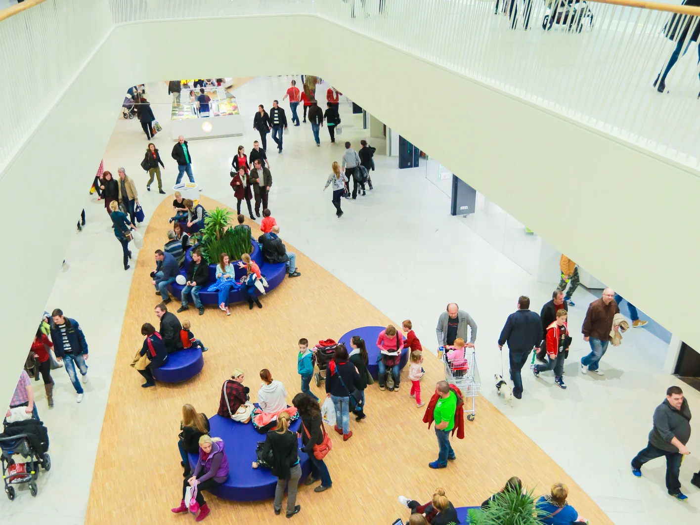 borymall1