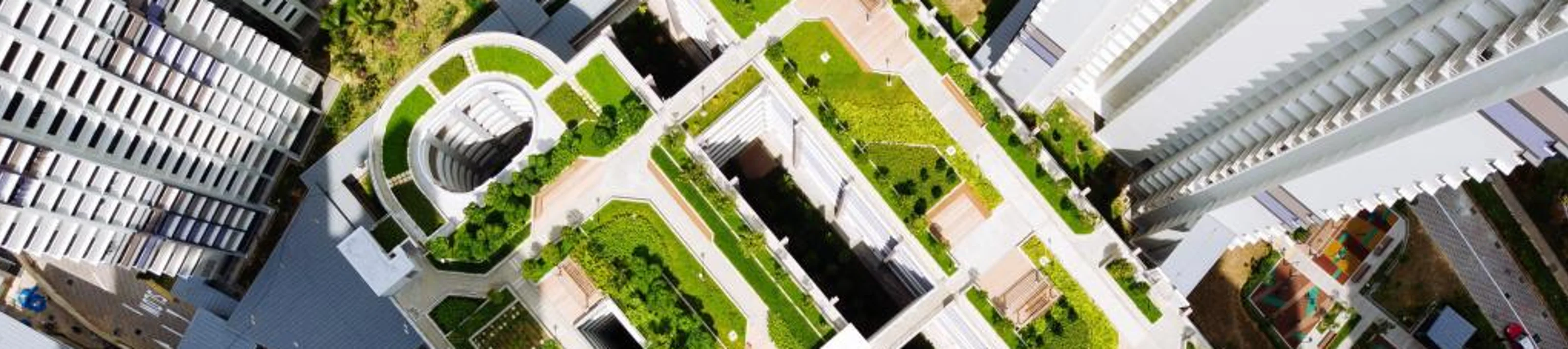 KI-MY_Green-roof-top
