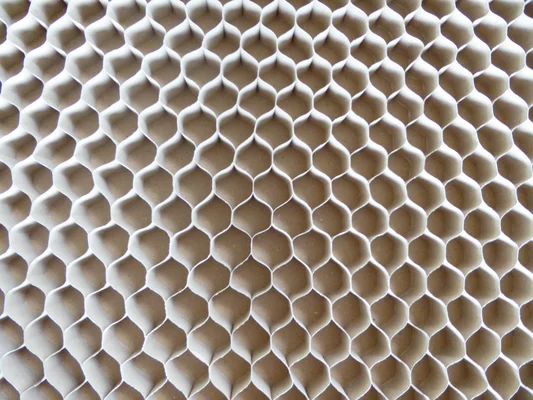 Knauf - Carton nid d'abeille pour vrac 30 - Kartonwabe_757425_757404