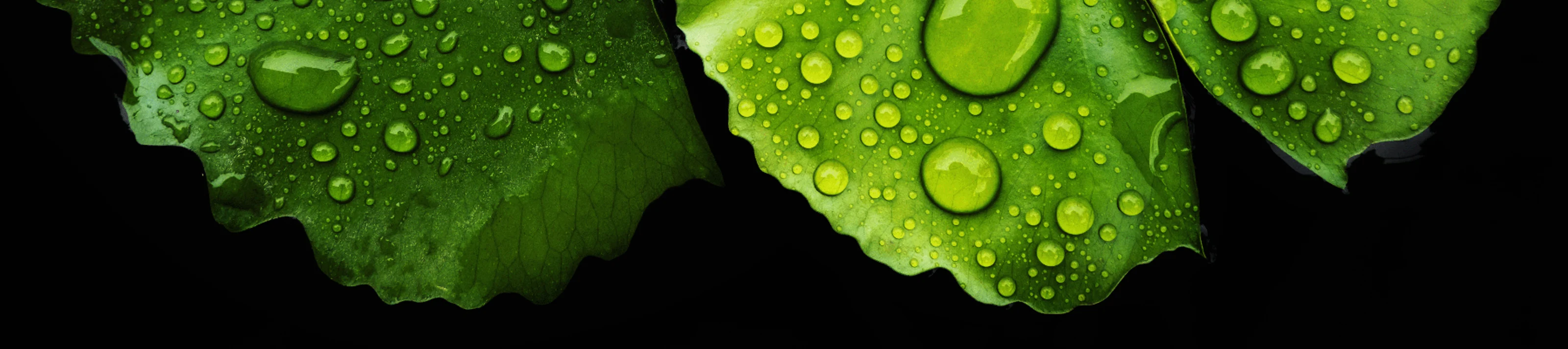 Sustainability