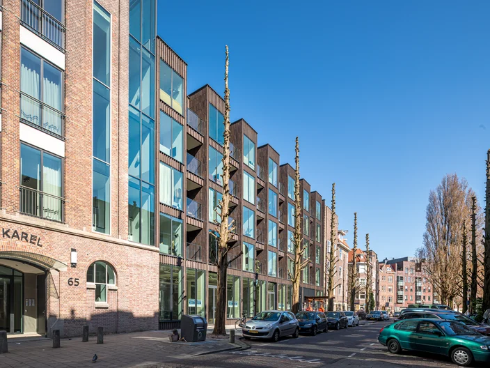 Amsterdam, Karel Jardin 2.0