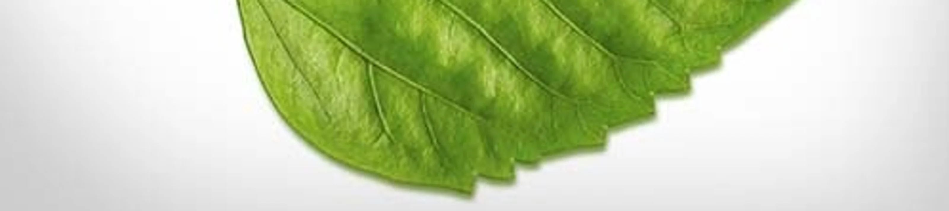 Sustainability