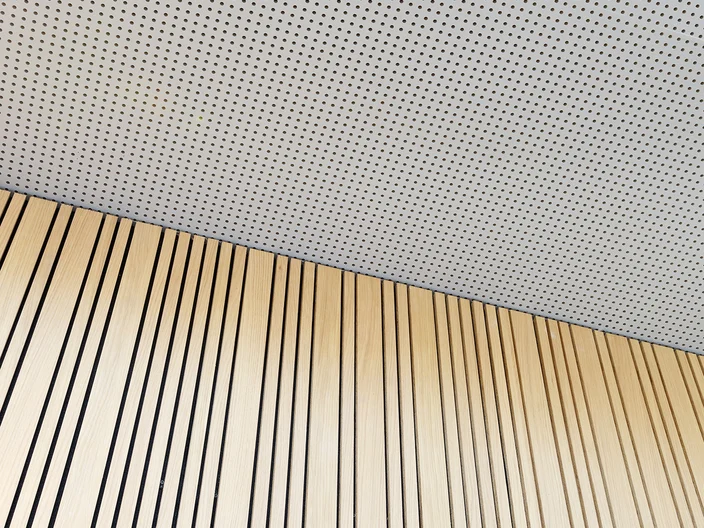 812-4275-acoustic-ceiling-in-schools-knaufdanoline