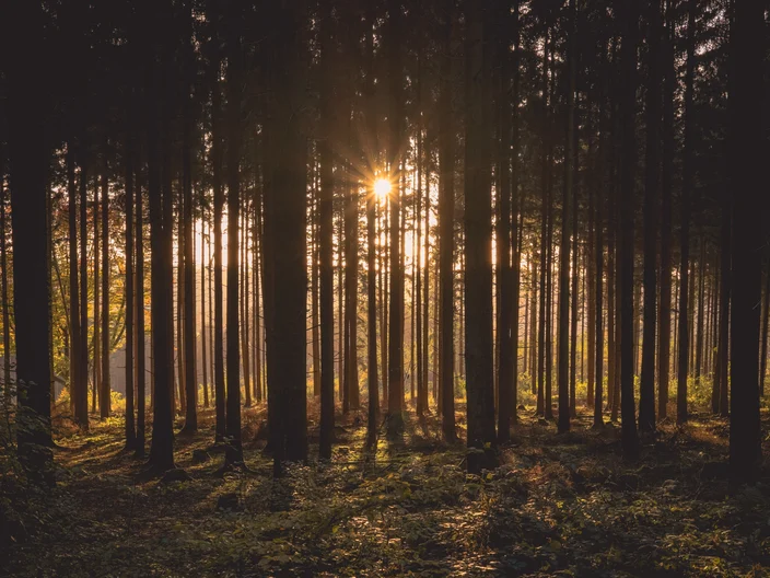 daniel-peters-2tvkoVK8prc-unsplash