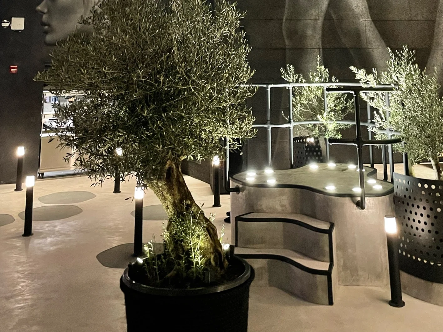 88Terrace_Dubai_1