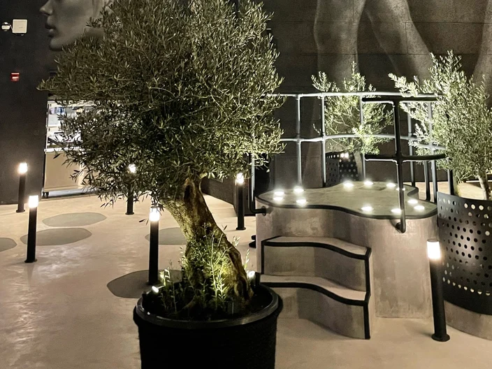 88Terrace_Dubai_1
