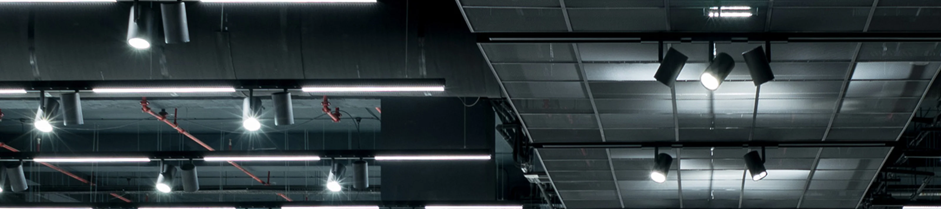 Retail, Univerexport, Mesh