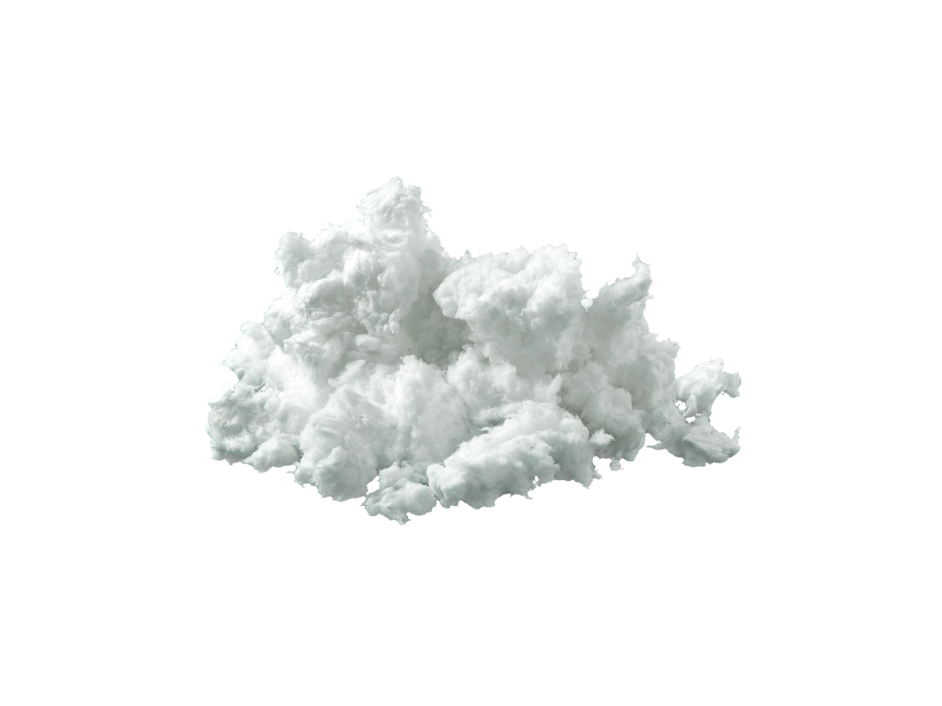 Blaswolle, image