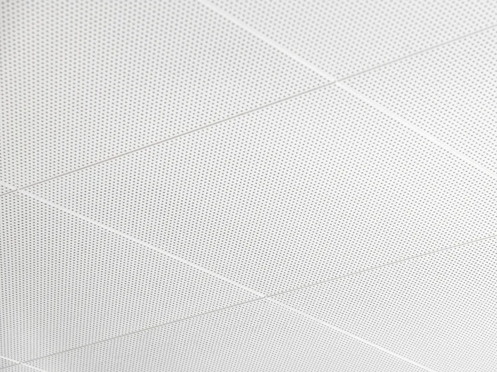 Büro Umbau Reinach Decken 2