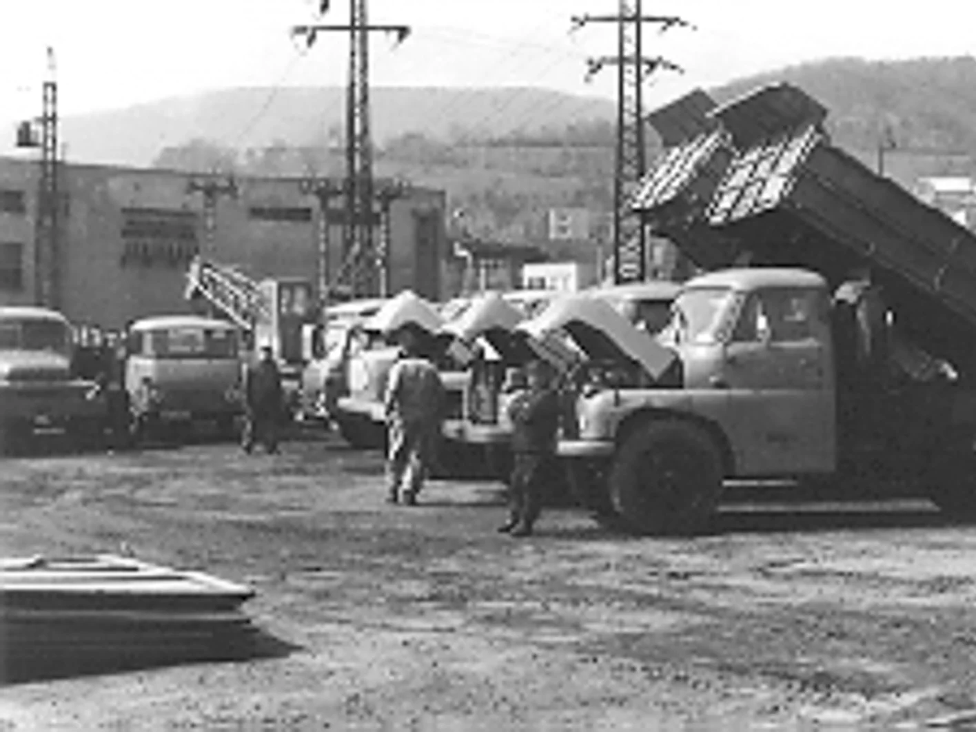 NB Plant Histrória