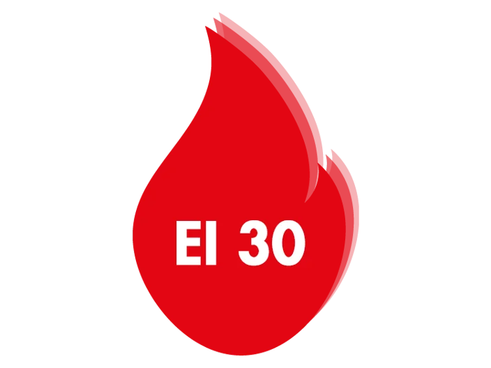 Logo EI 30