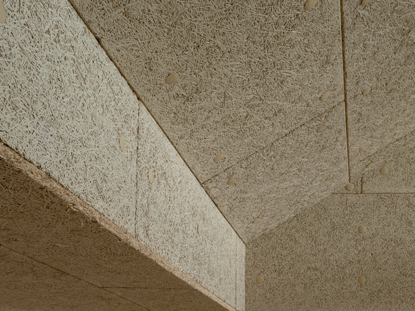 Vakcollege Hilligersberg