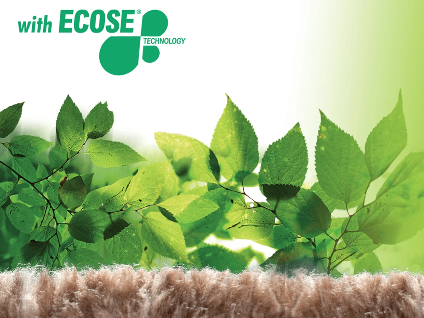 Ecose technology Key visual