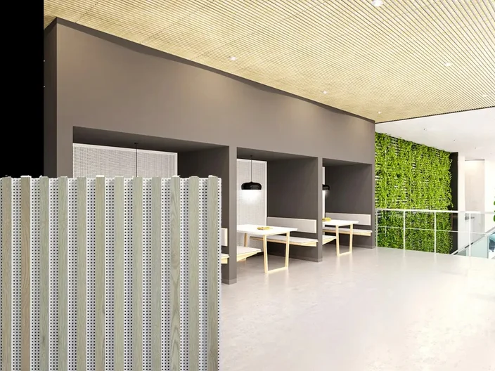actu plafond acoustique knauf rold12