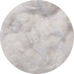 fibres coton