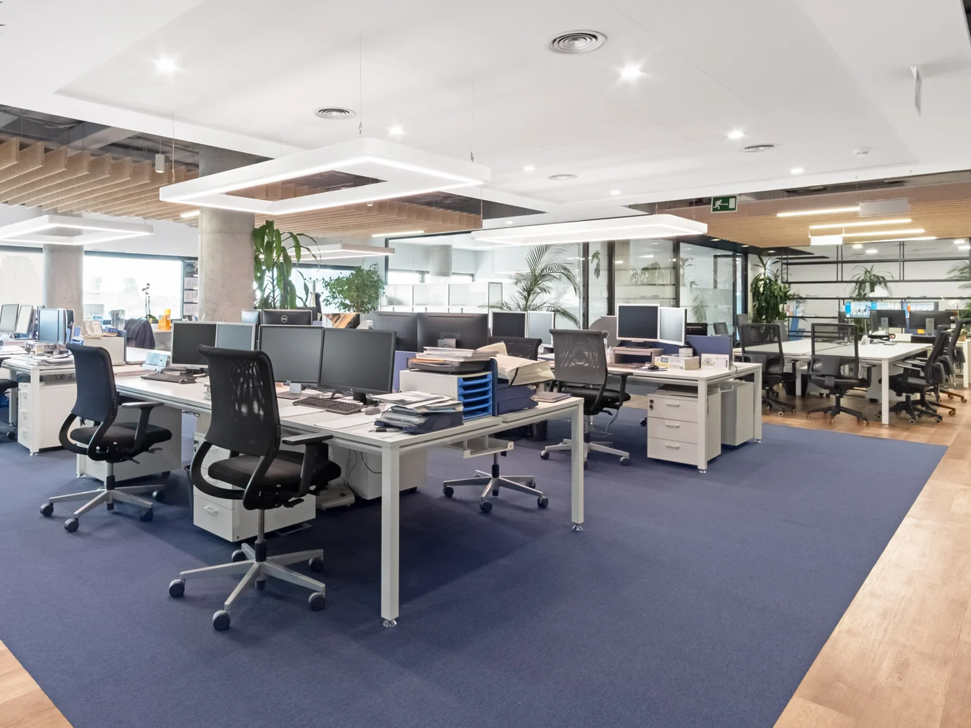 Oficinas Knauf Madrid