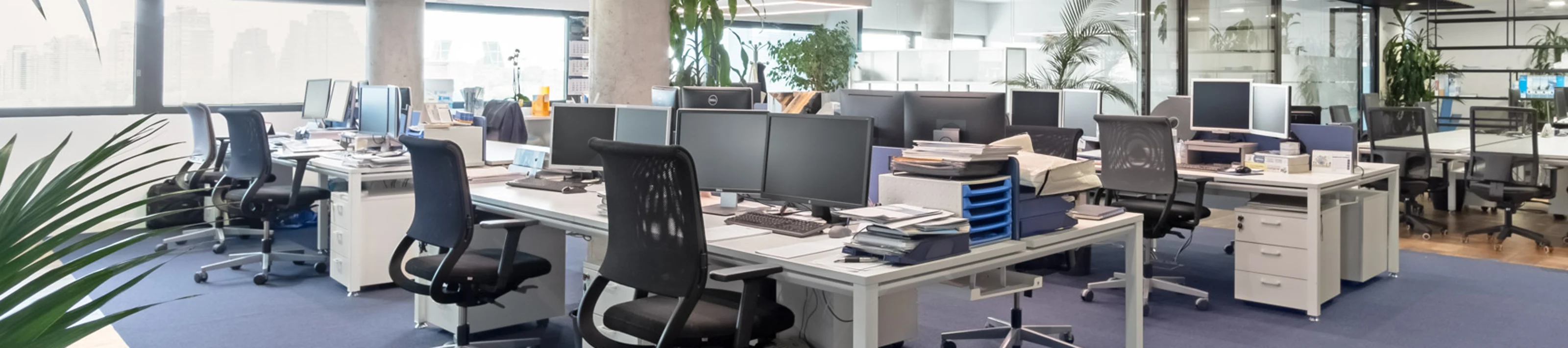 Oficinas Knauf Madrid