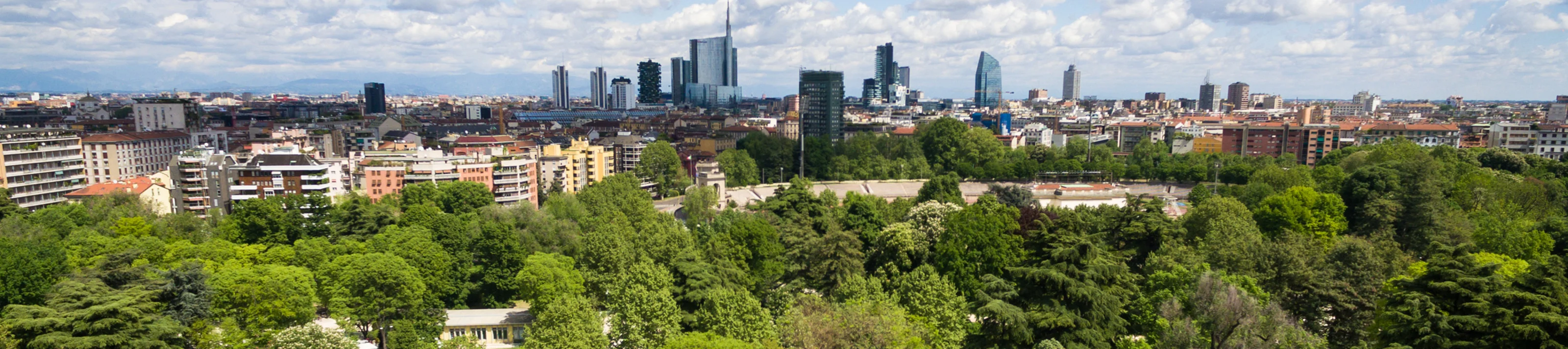 Nachhaltigkeit, Bäume mit Stadt im Hintergrund