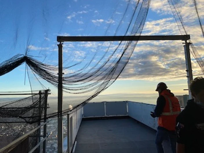 West Side Place Overview Landscape with Applicator 2.0