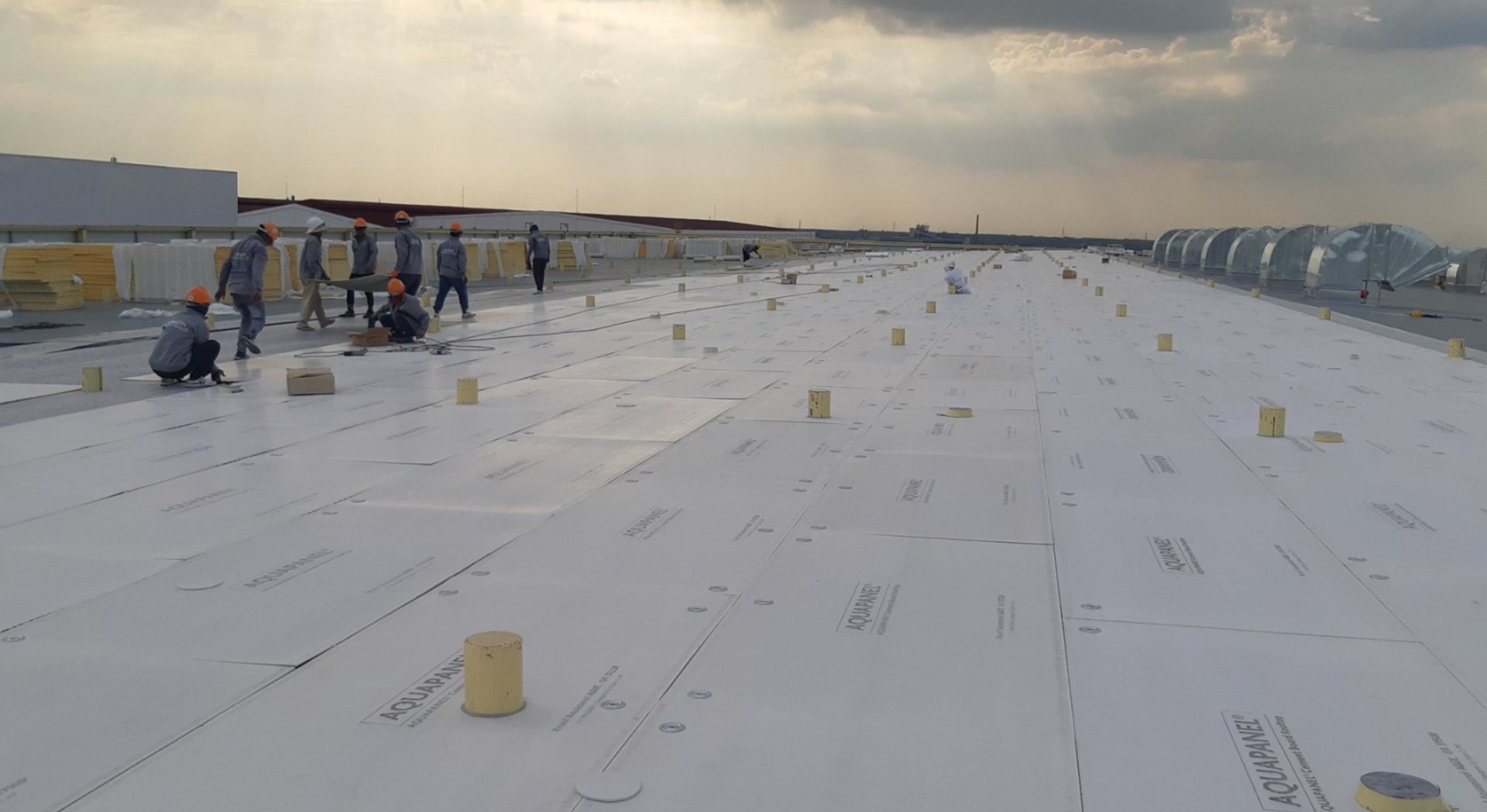 Roof