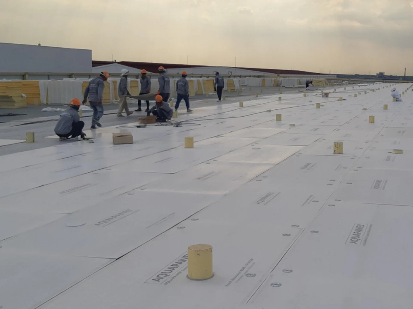 Roof