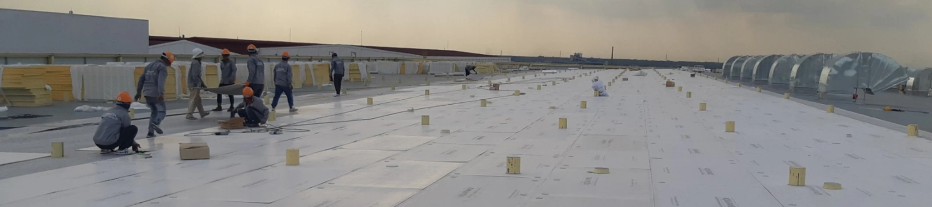 Roof