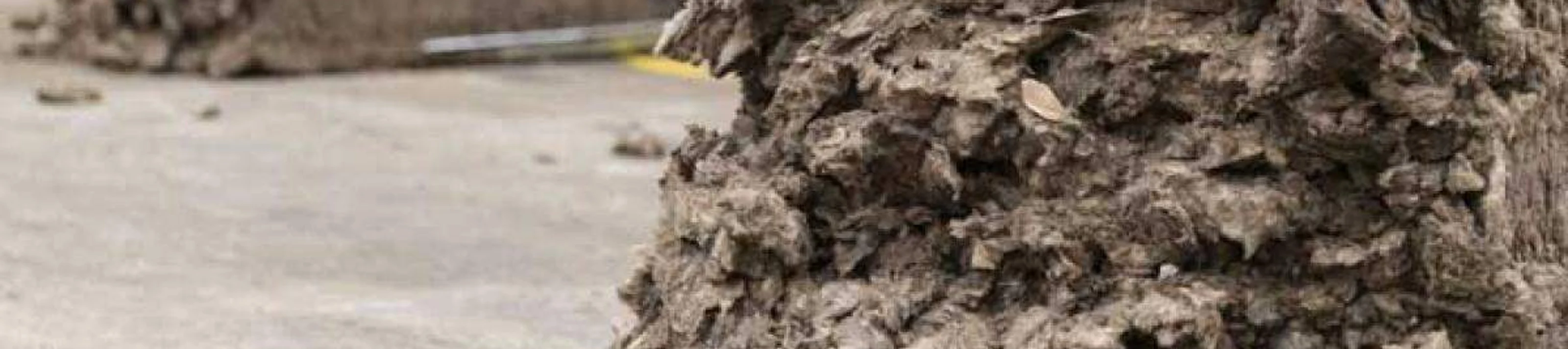 Knauf Insulation Nachhaltigkeit