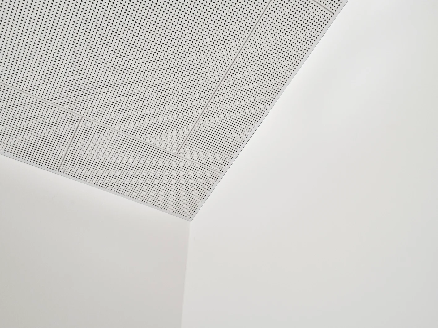 DSC2566