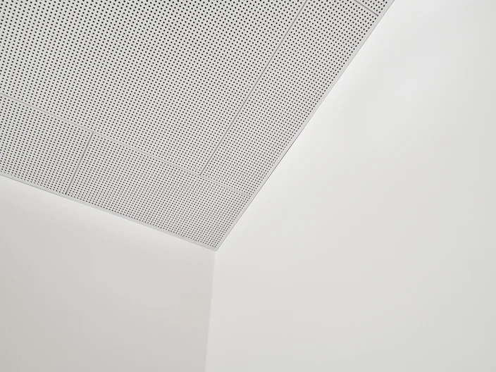 DSC2566
