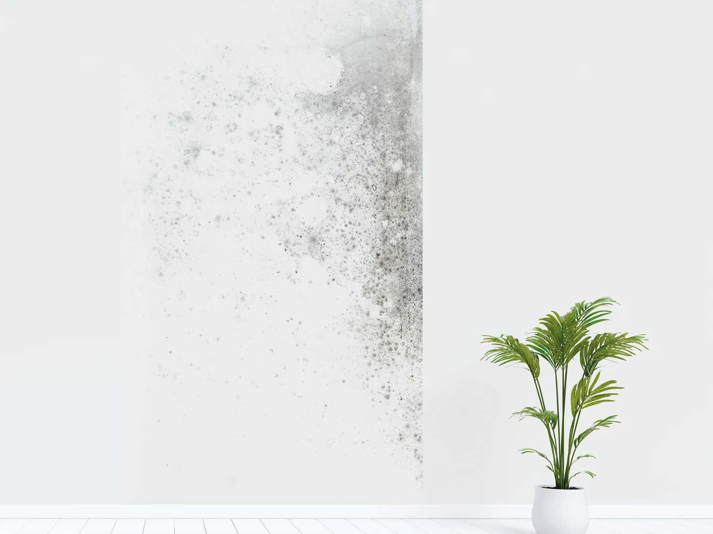 Fine Thermal board - parete con muffa IMG
