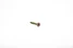 Knauf - AQUAPANEL® Maxi Screw SN - Knauf-Egypt-Accessories-Screws-AQUAPANEL-Maxi-SN.jpg