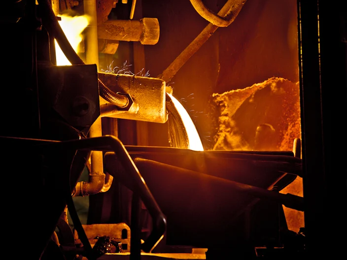 NB Plant História