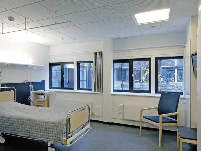 Hamlet Hospital Danemark 4