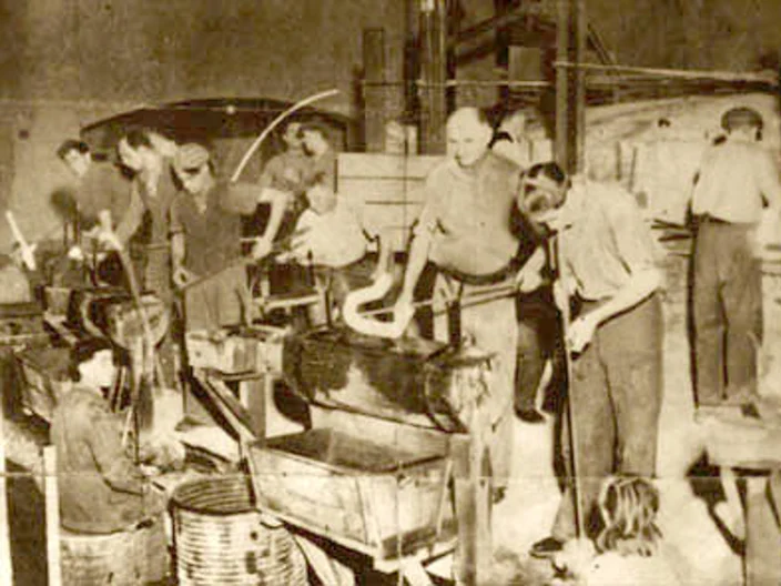 NB Plant Histrória