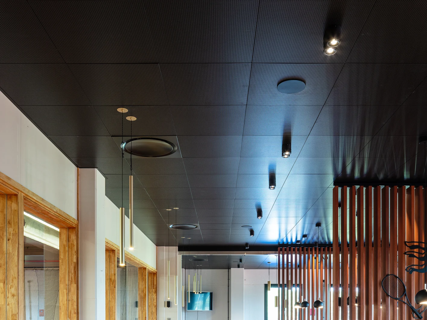 812-4443-black-acoustic-cielings-in-restaurant-web