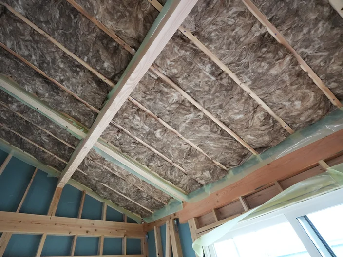 Noshiro case study image - roof