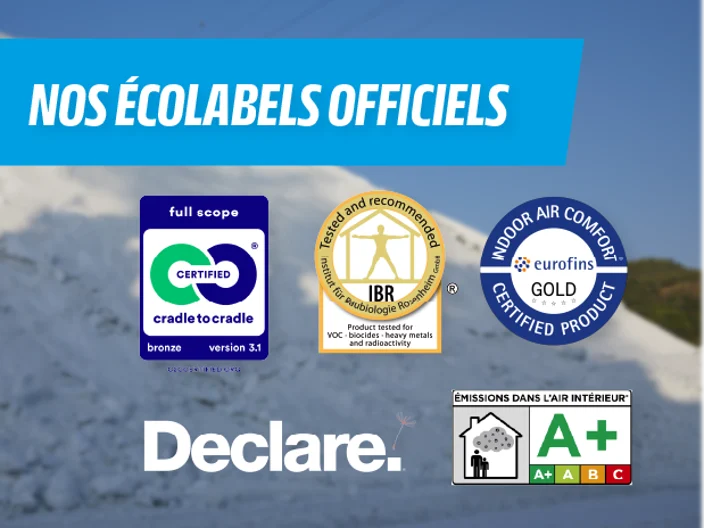 visuel écolabel officiel type 1