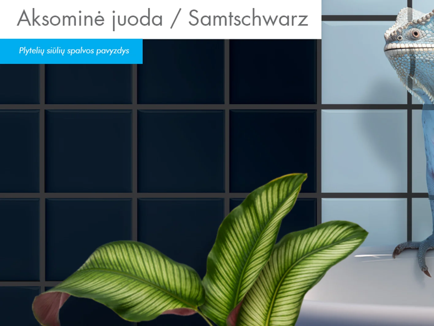 014_Plyteliu siules_Samtschwarz