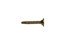 Knauf - Aquapanel Maxi vijak SB  - 00058549_AQUAPANEL®  Maxi vijak SB 39