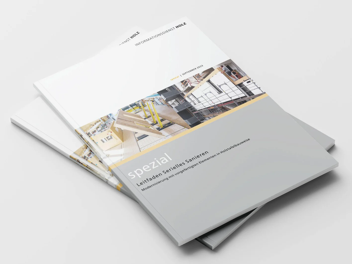 Knauf Elements Serielle Sanierung Informationsidenst Holz