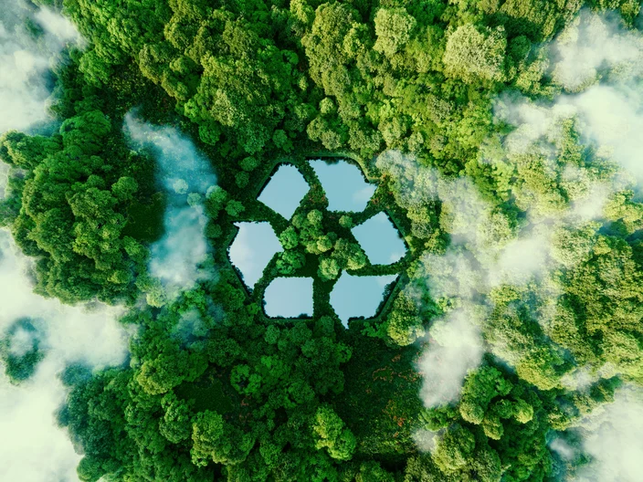 Nachhaltigkeit, Luftaufnahme Wald
