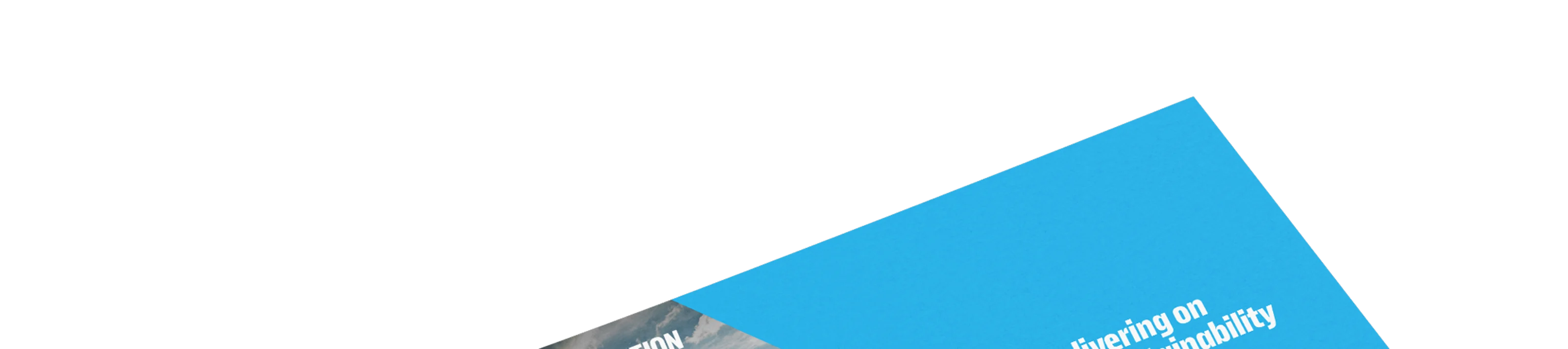 Mock-up sustainability report