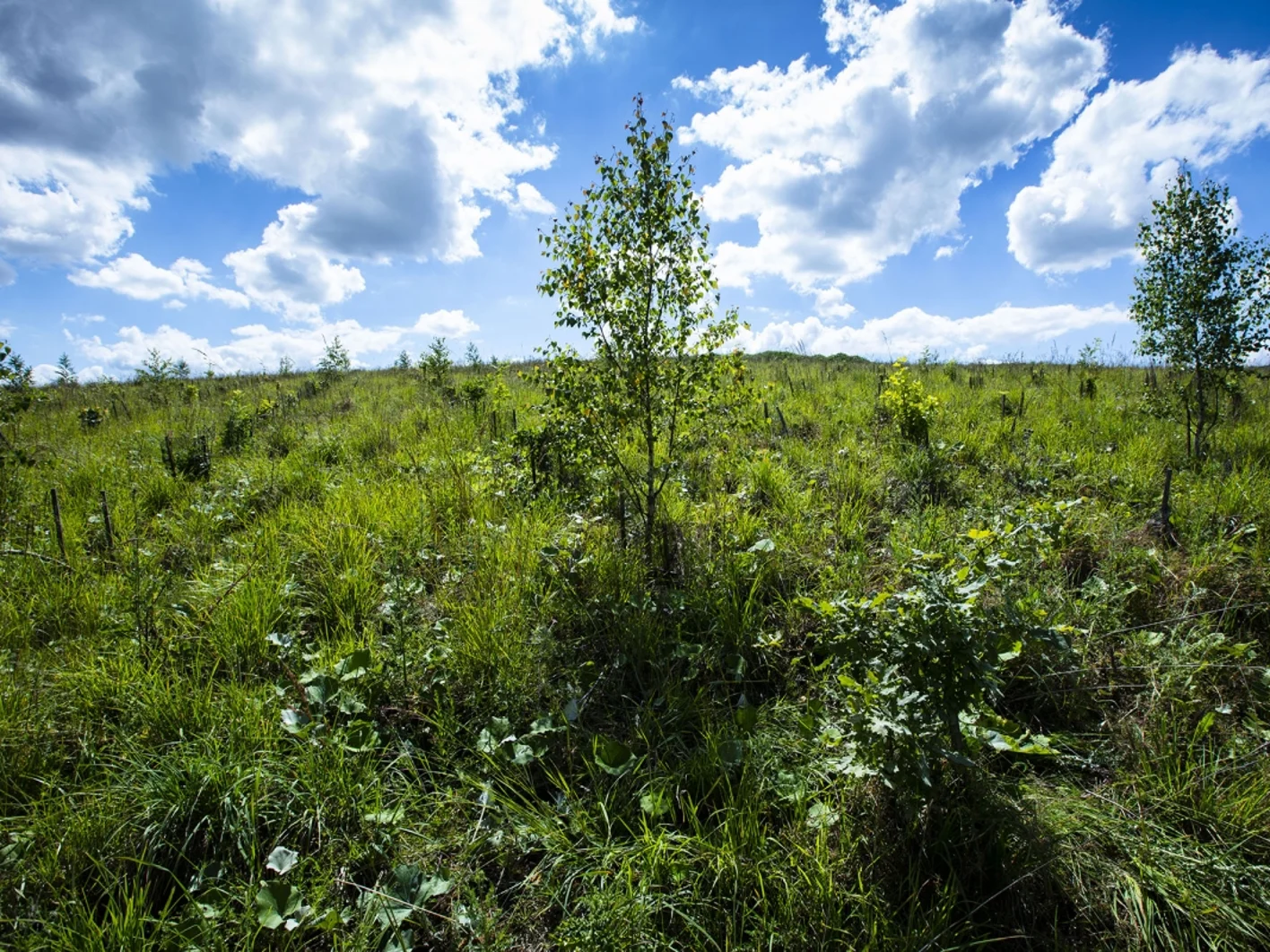 carrière du bois des sables de saint soupplets une partie remise en état