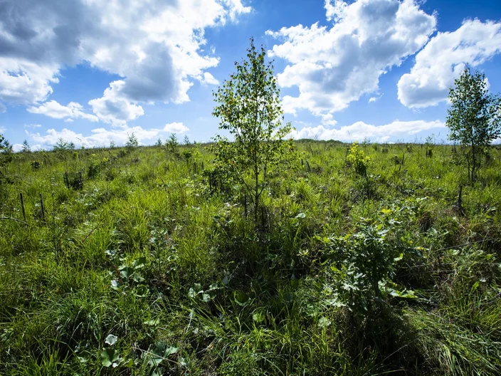 carrière du bois des sables de saint soupplets une partie remise en état