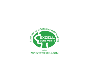 Logo Excelle Zone verte